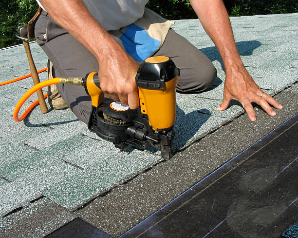 Best Roof Gutter Cleaning  in Guadalupe, AZ